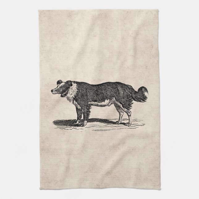 Vintage 1800s Border Collie Dog Illustration Towel (Vertical)