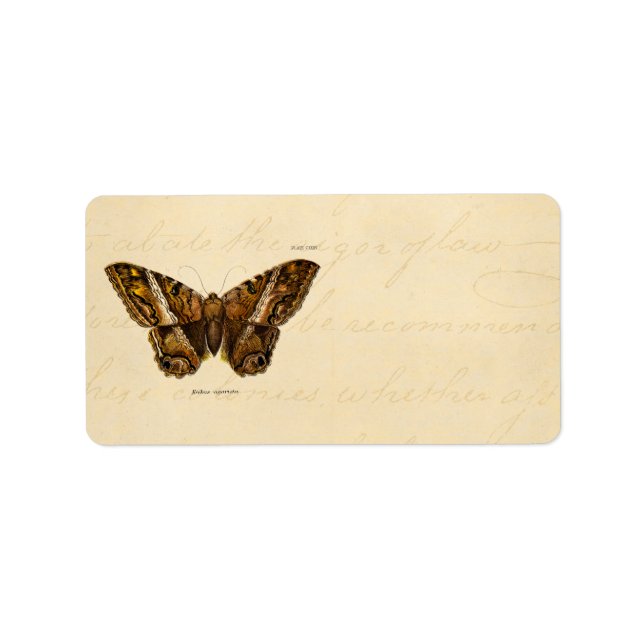 Vintage 1800s Brown Fuzzy Moth Template Butterfly Label (Front)