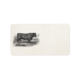 Vintage 1800s Bull Illustration Retro Cow Bulls Label