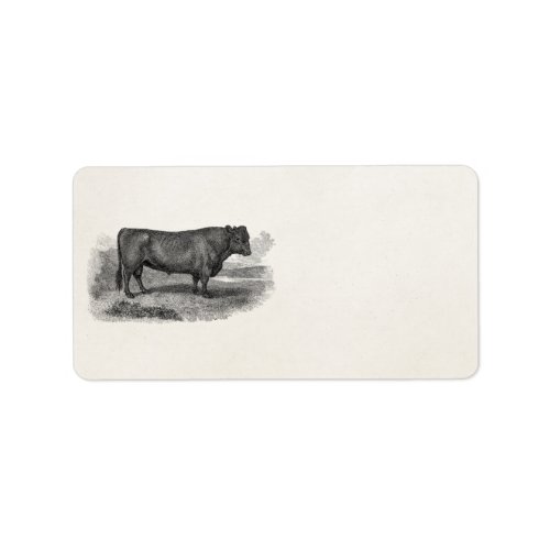 Vintage 1800s Bull Illustration Retro Cow Bulls Label