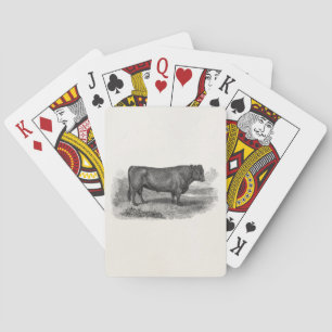 Vintage 1800s Bull Illustration Retro Cow Bulls Poker Cards