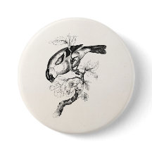 Vintage 1800s Bullfinch Bird Illustration - Birds