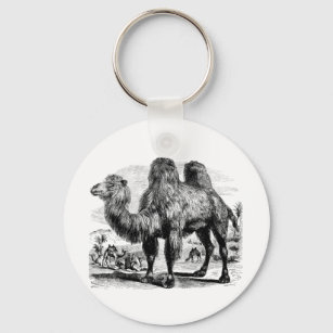 Vintage 1800s Camel -  Egyptian Camels Template Keychain