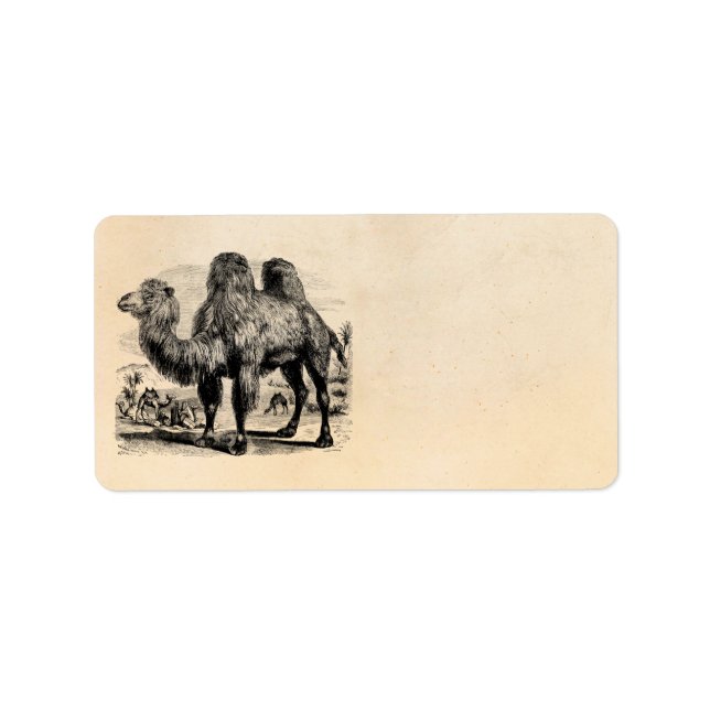 Vintage 1800s Camel -  Egyptian Camels Template Label (Front)