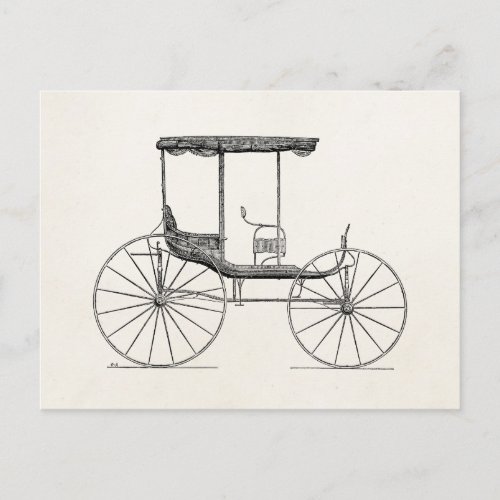 Vintage 1800s Carriage Horse_Drawn Antique Buggy Postcard