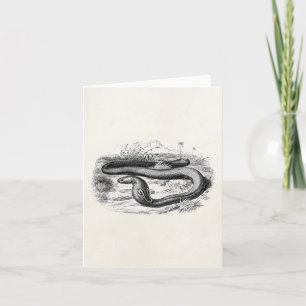 Vintage 1800s Cobra Snake Retro Cobra Drawing Card