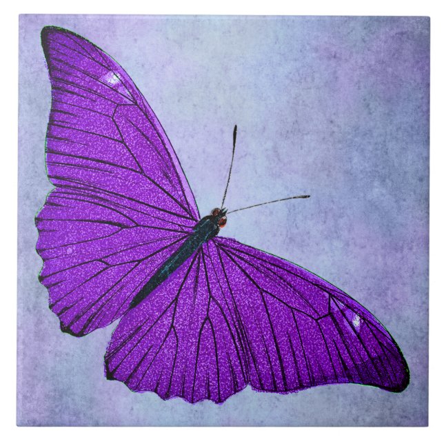 Vintage 1800s Dark Purple Butterfly Illustration Ceramic Tile (Front)