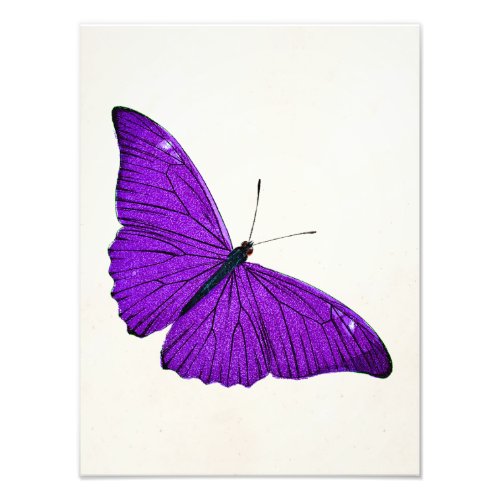 Vintage 1800s Dark Purple Butterfly Illustration Photo Print