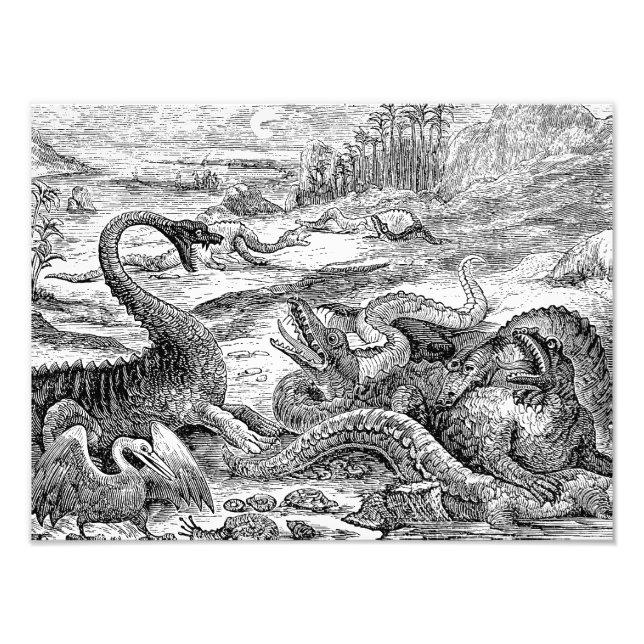 Vintage 1800s Dinosaur Illustration - Dinosaurs Photo Print (Front)