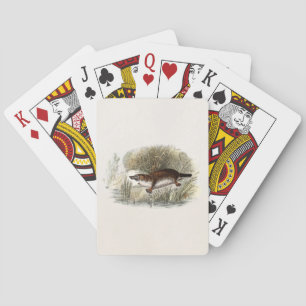 Vintage 1800s Duck Bill Platypus Illustration Poker Cards