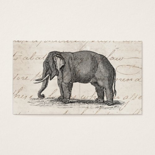 Vintage 1800s Elephant Illustration - Elephants Business Card