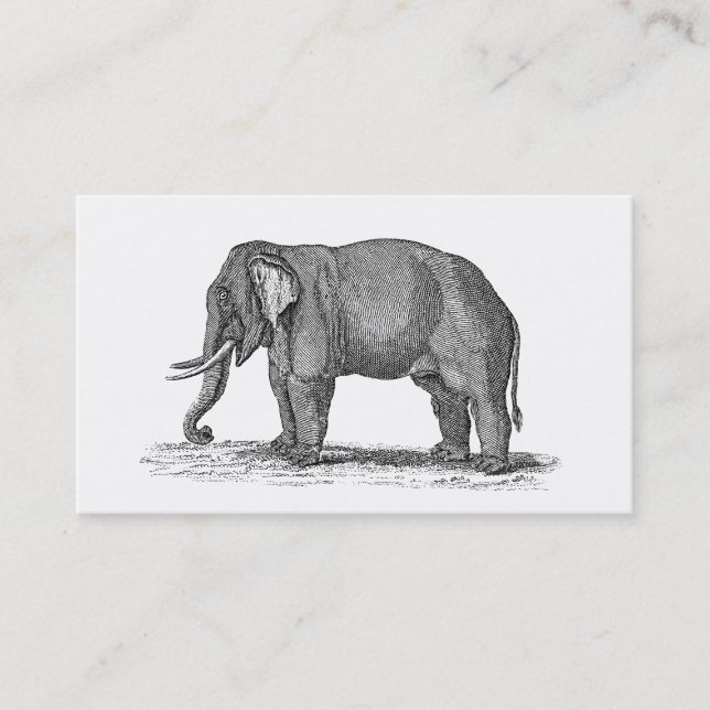 Vintage 1800s Elephant Illustration - Elephants Business Card (Front)