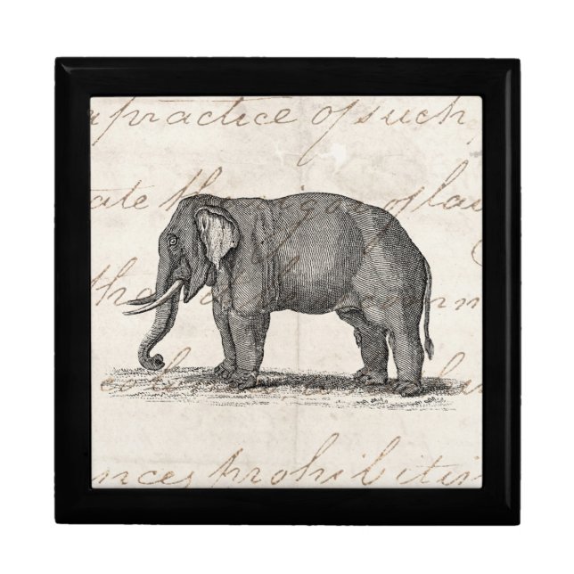 Vintage 1800s Elephant Illustration - Elephants Gift Box (Front)