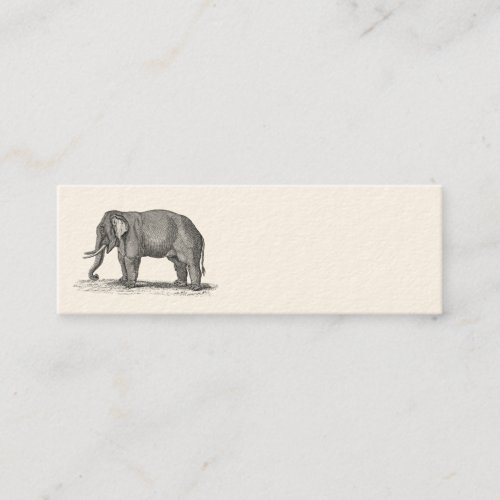 Vintage 1800s Elephant Illustration - Elephants Business Cards