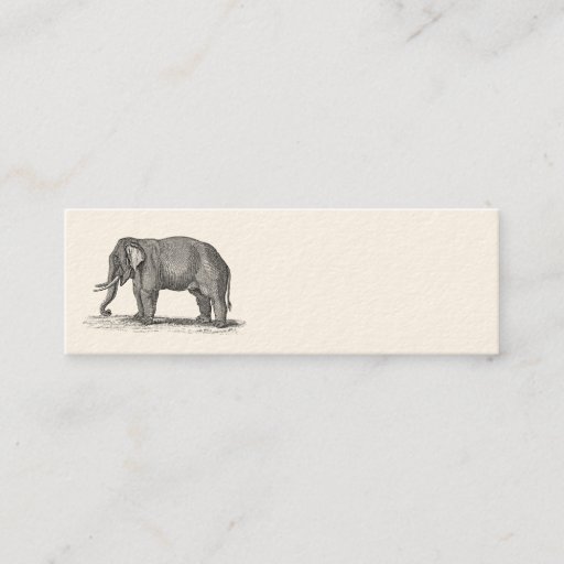 Customizable Vintage 1800s Elephant Illustration - Elephants Business Cards