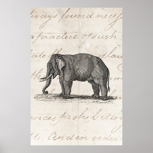 Vintage 1800s Elephant Illustration - Elephants Poster | Zazzle.com