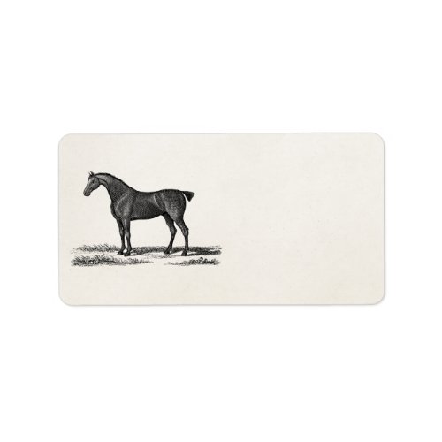 Vintage 1800s English Hunter Horse Hunting Horses Label