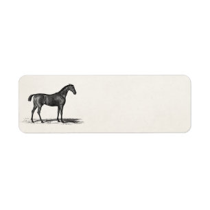Vintage 1800s English Race Horse - Racing Horses Label