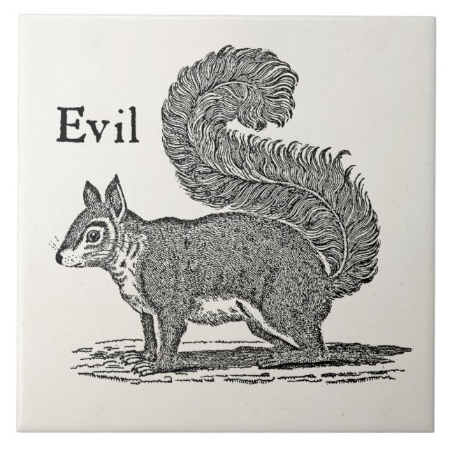 Vintage 1800s Evil Squirrel Illustration Ceramic Tile (Front)