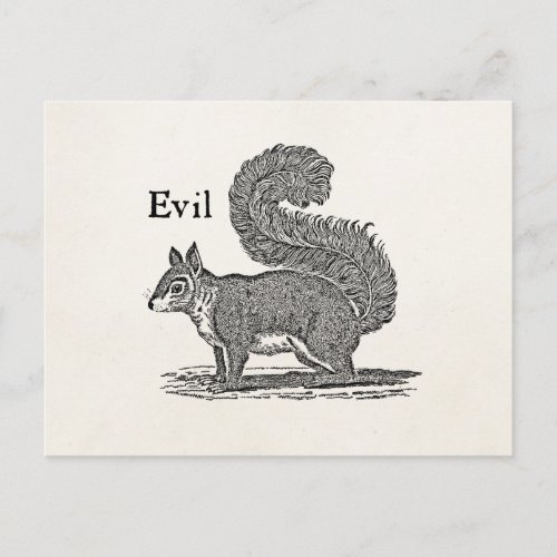 Vintage 1800s Evil Squirrel Illustration Postcard