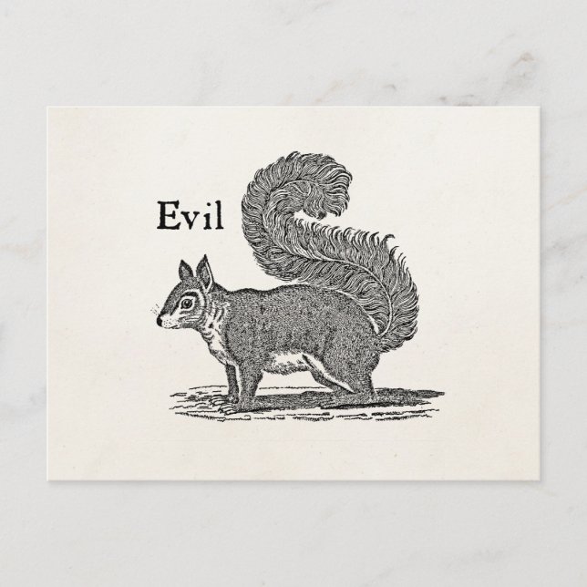 Vintage 1800s Evil Squirrel Illustration Postcard (Front)