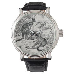 Vintage 1800s Giant Kangaroos Australian Kangaroo Watch