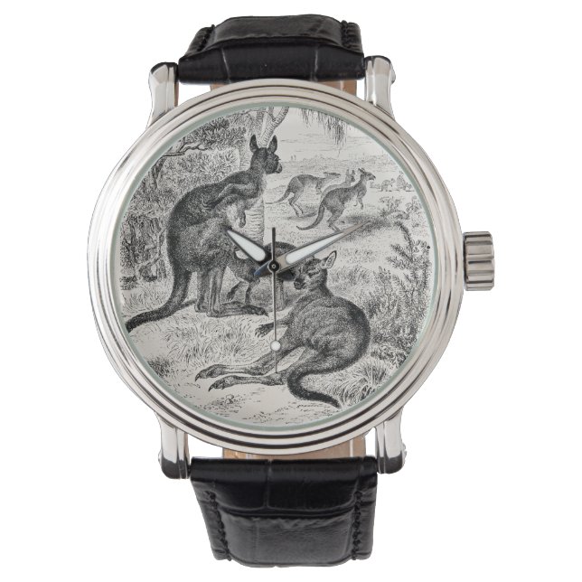 Vintage 1800s Giant Kangaroos Australian Kangaroo Watch (Front)