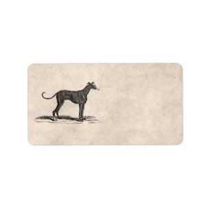 Vintage 1800s Greyhound Dog Illustration - Dogs Label