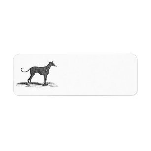 Vintage 1800s Greyhound Dog Illustration - Dogs Label