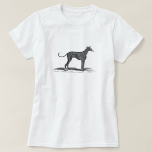 Vintage 1800s Greyhound Dog Illustration - Dogs T-Shirt