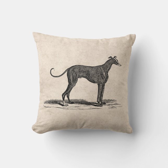 Vintage 1800s Greyhound Dog Illustration - Dogs Throw Pillow (Front)