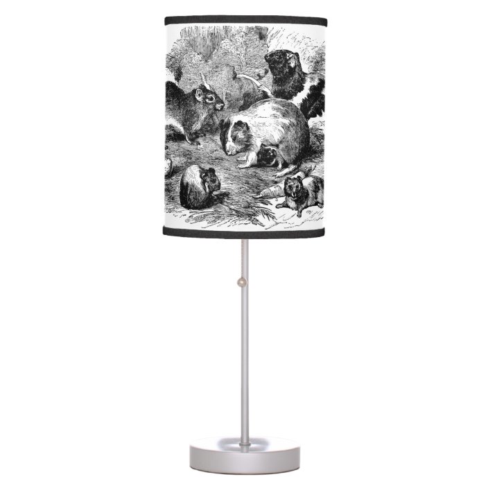 guinea pig lamp