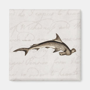 Vintage 1800s Hammerhead Shark Old Hammer Head Magnet
