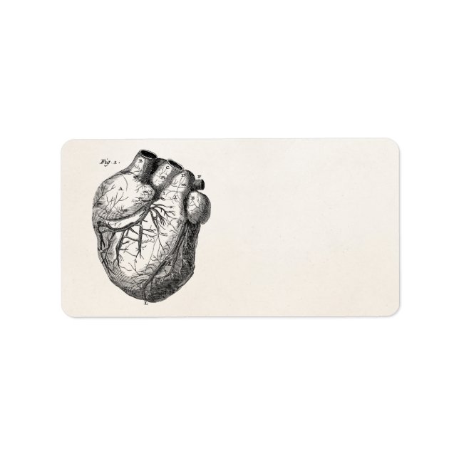 Vintage 1800s Heart Retro Cardiac Anatomy Hearts Label (Front)