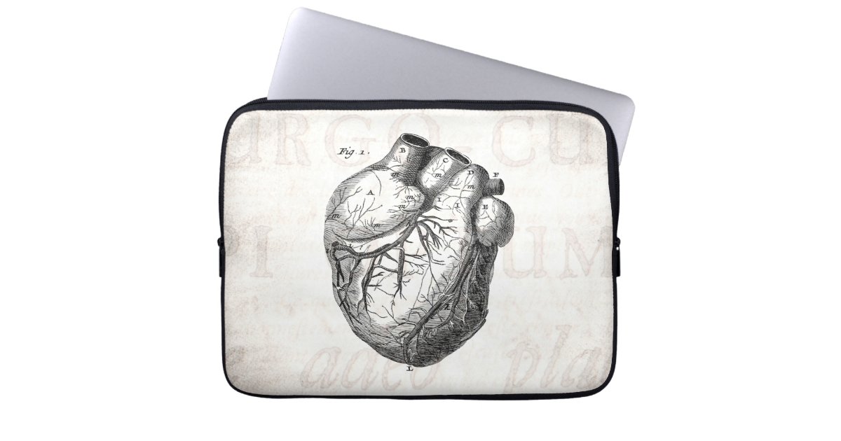 Vintage 1800s Heart Retro Cardiac Anatomy Hearts Laptop Sleeve | Zazzle