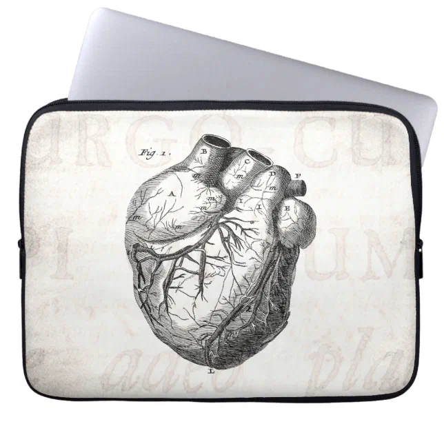 Vintage 1800s Heart Retro Cardiac Anatomy Hearts Laptop Sleeve | Zazzle