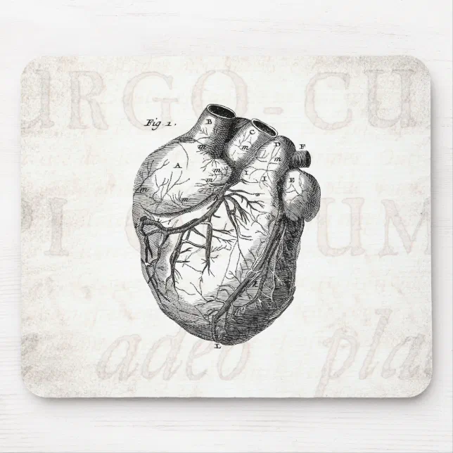 Vintage 1800s Heart Retro Cardiac Anatomy Hearts Mouse Pad | Zazzle