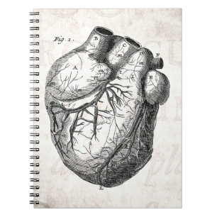 Vintage 1800s Heart Retro Cardiac Anatomy Hearts Notebook