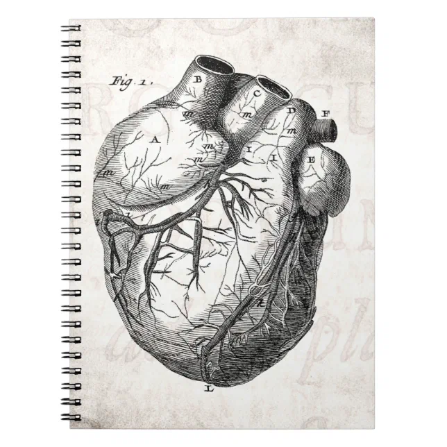 Vintage 1800s Heart Retro Cardiac Anatomy Hearts Notebook | Zazzle