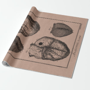 Vintage 1800s Heart Retro Cardiac Anatomy Hearts Wrapping Paper