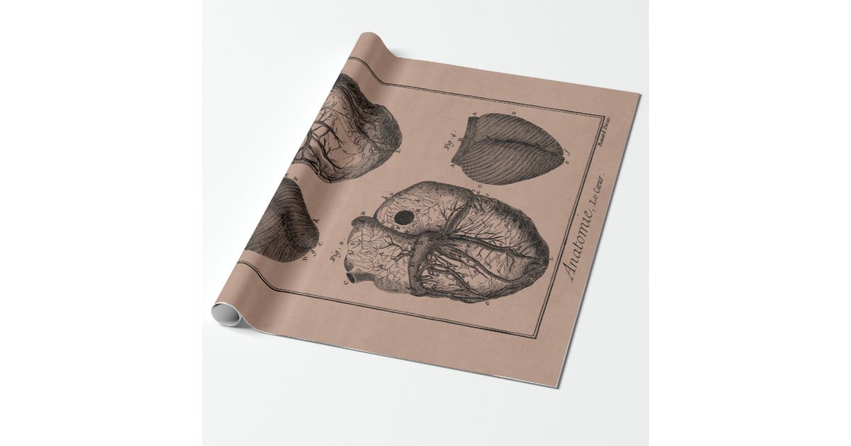 Vintage 1800s Heart Retro Cardiac Anatomy Hearts Wrapping Paper | Zazzle
