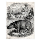 Blue Hippo Sitting in Martini Drink Postcard | Zazzle.com