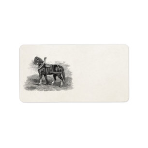 Vintage 1800s Horse Agriculture Illustration Horse Label