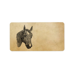 Vintage 1800s Horse Head Illustration Retro Horses Label