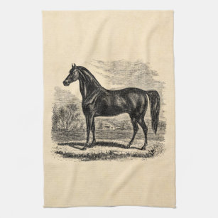 Vintage 1800s Horse - Morgan Equestrian Template Kitchen Towel