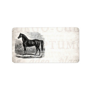 Vintage 1800s Horse - Morgan Equestrian Template Label