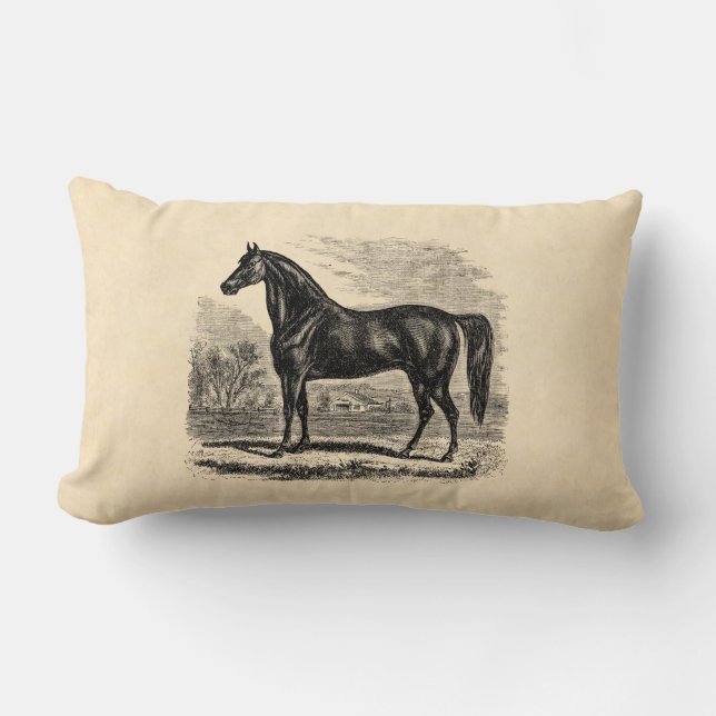 Vintage 1800s Horse - Morgan Equestrian Template Lumbar Pillow (Front)