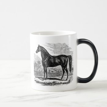 Vintage 1800s Horse - Morgan Equestrian Template Magic Mug by SilverSpiral at Zazzle