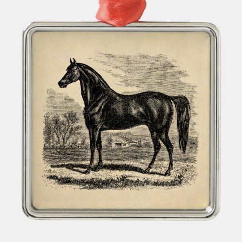 Vintage 1800s Horse _ Morgan Equestrian Template Metal Ornament