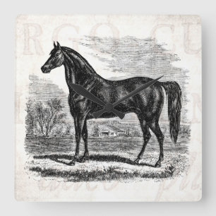 Vintage 1800s Horse - Morgan Equestrian Template Square Wall Clock